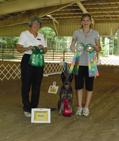 Rally Ribbons