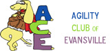 ACE Logo