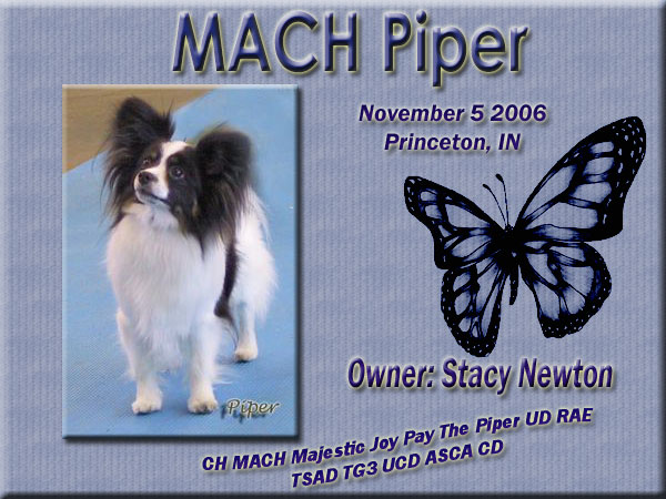 MACH Piper